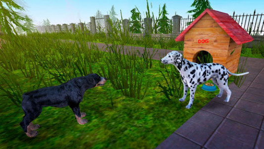 اسکرین شات بازی Dalmatian Dog Pet Life Sim 3D 5