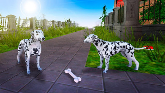 اسکرین شات بازی Dalmatian Dog Pet Life Sim 3D 7