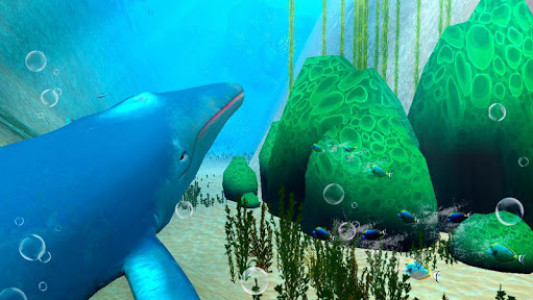 اسکرین شات بازی Ocean Mammals: Blue Whale Marine Life Sim 3D 7