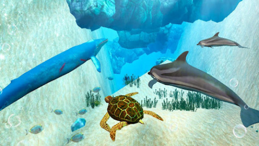 اسکرین شات بازی Ocean Mammals: Blue Whale Marine Life Sim 3D 8