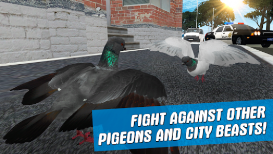 اسکرین شات بازی City Bird Pigeon Simulator 3D 6