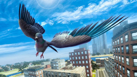اسکرین شات بازی City Bird Pigeon Simulator 3D 1