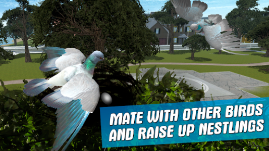 اسکرین شات بازی City Bird Pigeon Simulator 3D 8