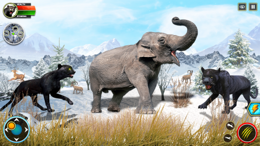 اسکرین شات 3 بازی Wild Black Panther Games