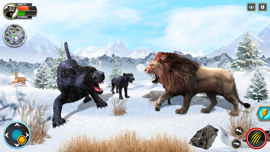 اسکرین شات 2 بازی Wild Black Panther Games