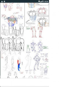 اسکرین شات برنامه Drawing Tutorial Human Body 3