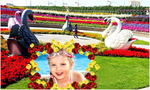 اسکرین شات 7 برنامه Beautiful Garden Photo Gallery