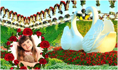 اسکرین شات 4 برنامه Beautiful Garden Photo Gallery