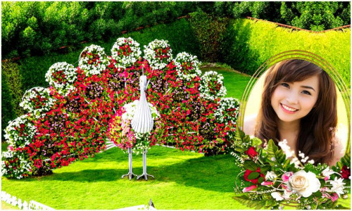 اسکرین شات 1 برنامه Beautiful Garden Photo Gallery