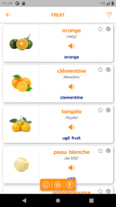 اسکرین شات برنامه Learn French - 6000 Essential Words 3
