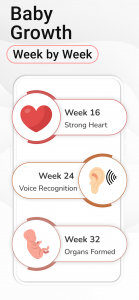اسکرین شات برنامه Pregnancy Calculator: Due Date 5