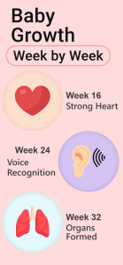اسکرین شات 5 برنامه Pregnancy Calculator, Calendar