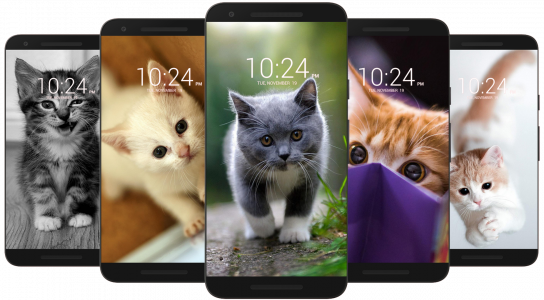 اسکرین شات برنامه Kitten & Cute Cat Wallpaper HD 2