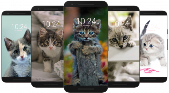 اسکرین شات برنامه Kitten & Cute Cat Wallpaper HD 7
