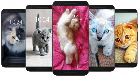 اسکرین شات برنامه Kitten & Cute Cat Wallpaper HD 1