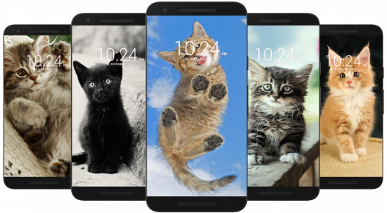 اسکرین شات برنامه Kitten & Cute Cat Wallpaper HD 4