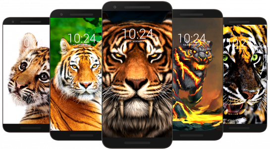 اسکرین شات برنامه Tiger Wallpaper HD & 4K 7