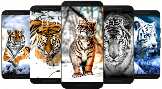 اسکرین شات برنامه Tiger Wallpaper HD & 4K 5