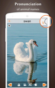 اسکرین شات 2 برنامه Animal Sounds
