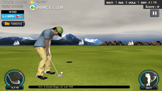 اسکرین شات 6 بازی Real Star Golf Master 3D