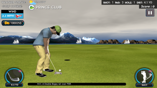 اسکرین شات بازی Top Real Star Golf Master 3D 6