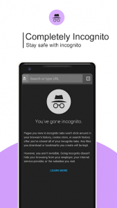 اسکرین شات برنامه Private Browser: Incognito Web Browser 4