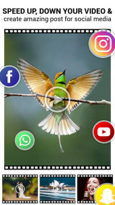 اسکرین شات 5 برنامه Video Speed Changer: SlowMo