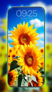 اسکرین شات 2 برنامه Flower Wallpaper HD Collection