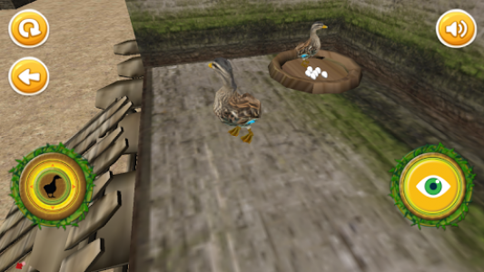 اسکرین شات بازی Real Duck Simulator 1