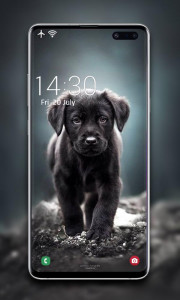 اسکرین شات برنامه Puppy Wallpaper 2