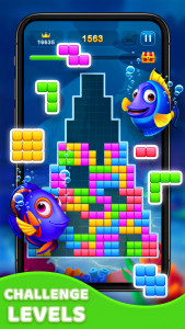 اسکرین شات بازی Block Puzzle Fish 5