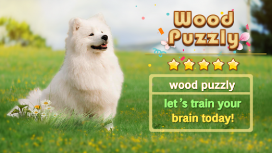 اسکرین شات بازی Wood Puzzle Mania - Block Puzzle Game 1
