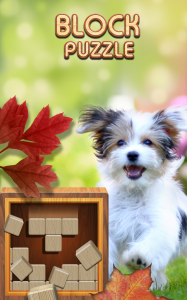 اسکرین شات بازی Classic Block Puzzle Wood 1010 1