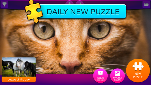 اسکرین شات برنامه Jigsaw Puzzles: Animals 3