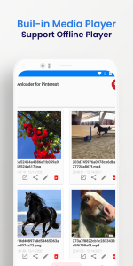 اسکرین شات برنامه Video Downloader for Pinterest 3