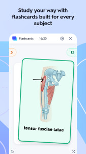 اسکرین شات 2 برنامه Quizlet: More than Flashcards