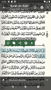 اسکرین شات برنامه Quran - Naskh (Indopak Quran) 4