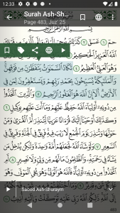 اسکرین شات برنامه Quran for Android 5