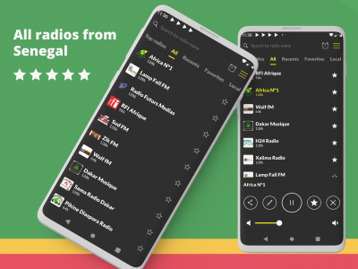 اسکرین شات برنامه Radio Senegal: FM online 1