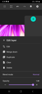 اسکرین شات 6 برنامه Sketch by Rasm - draw & paint