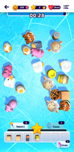 اسکرین شات 4 بازی Sorty Match 3D