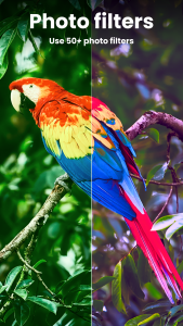 اسکرین شات 5 برنامه Enhance it - AI Photo Editor