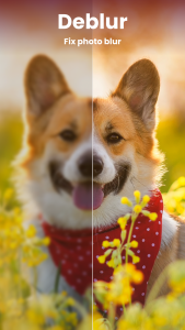 اسکرین شات 2 برنامه Enhance it - AI Photo Editor