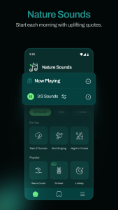 اسکرین شات 2 برنامه Relaxing Night Nature Sounds