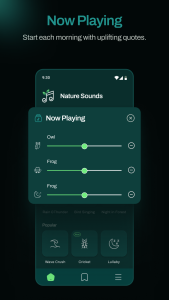 اسکرین شات 6 برنامه Relaxing Night Nature Sounds