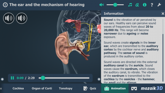 اسکرین شات 6 برنامه The mechanism of hearing 3D