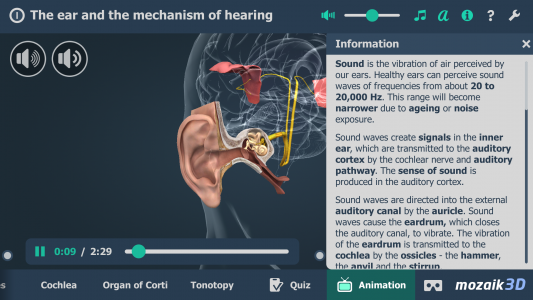 اسکرین شات برنامه The mechanism of hearing 3D 6