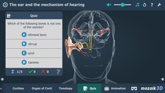 اسکرین شات برنامه The mechanism of hearing 3D 5