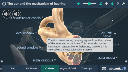 اسکرین شات برنامه The mechanism of hearing 3D 4