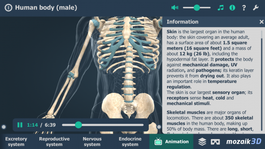 اسکرین شات 6 برنامه Human body (male) 3D scene